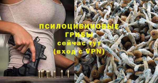 мескалин Алексин