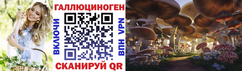 Псилоцибиновые грибы Psilocybe  площадка формула  Кореновск  mega как войти 