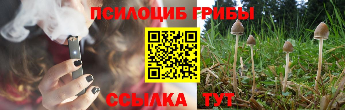Псилоцибиновые грибы Cubensis Кореновск
